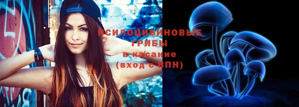 стафф Абдулино