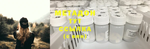 дживик Инта
