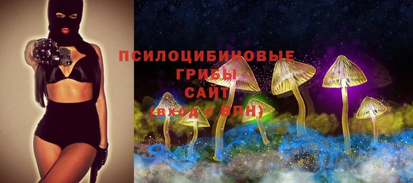 соль ск Абаза