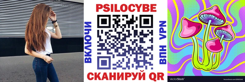 где продают   Скопин  Псилоцибиновые грибы ЛСД 