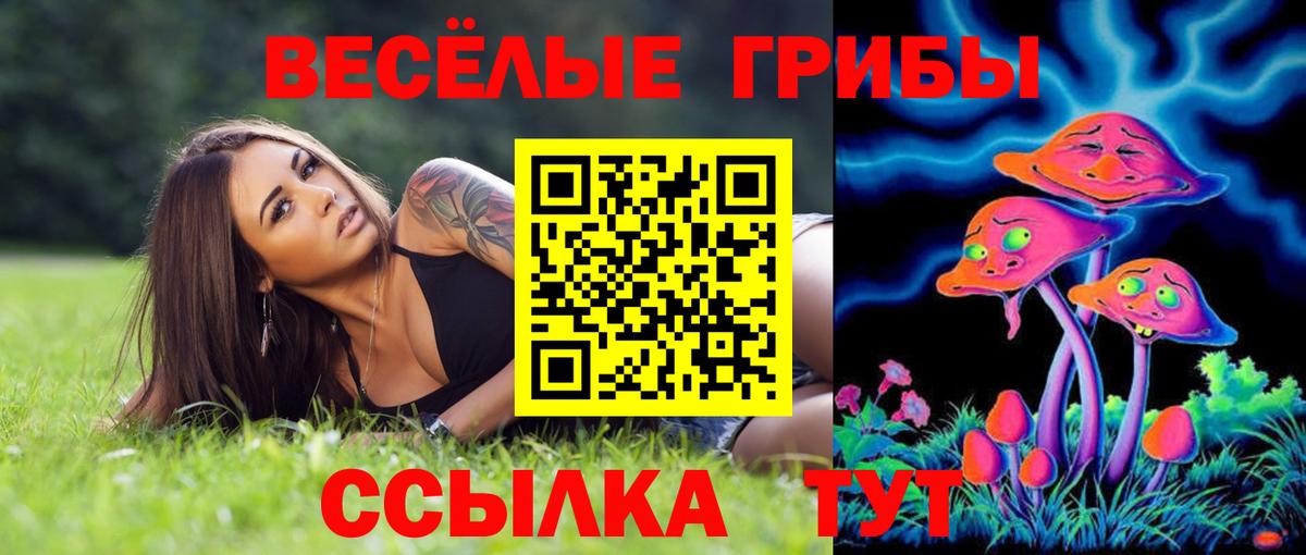 Галлюциногенные грибы Psilocybine cubensis  Вход с VPN  Скопин 